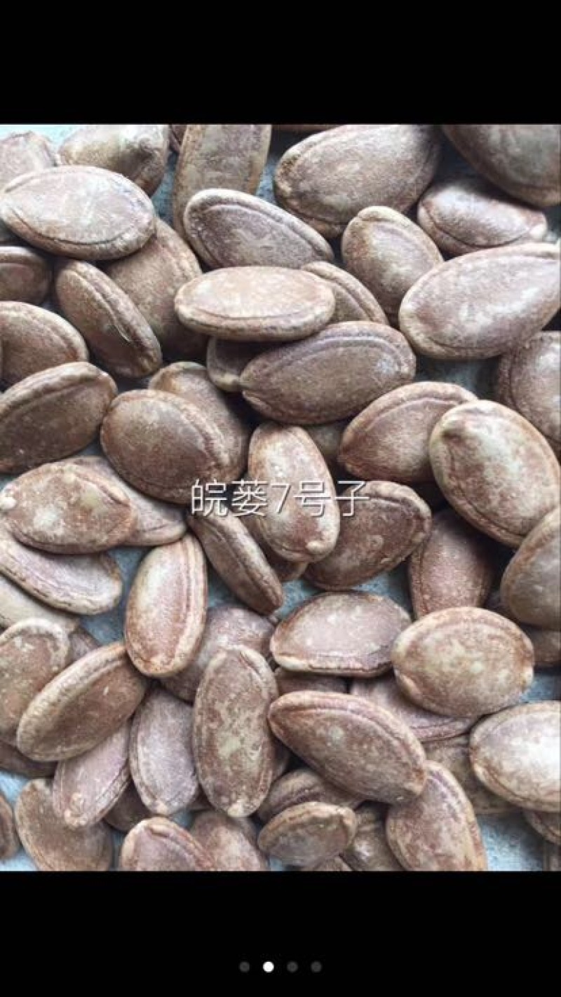 瓜蒌籽