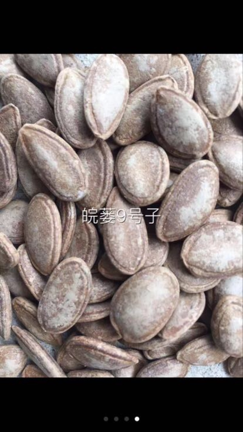 瓜蒌籽
