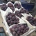 河北衡水饶阳乒乓球葡萄产区直销，一次合作终身朋友，信誉第