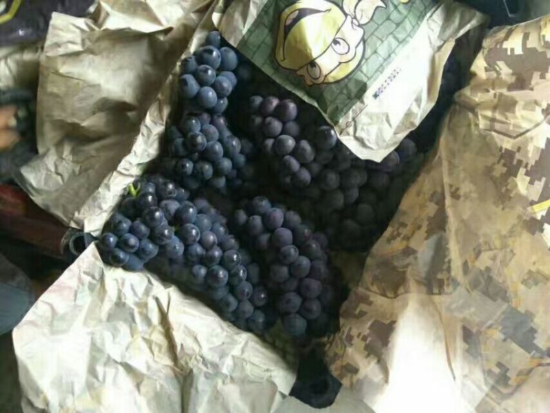 大量供应各种葡萄！巨峰，阳光玫瑰，A17，红宝石，蓝宝石