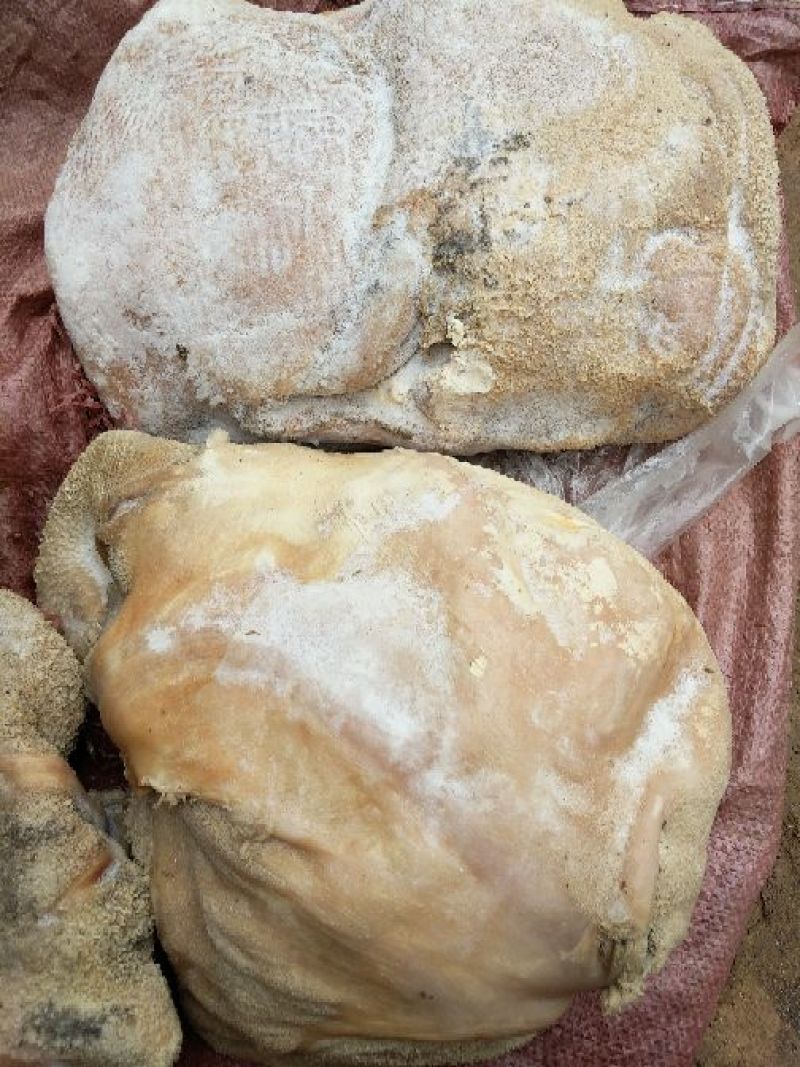 低价八分熟牛净肚