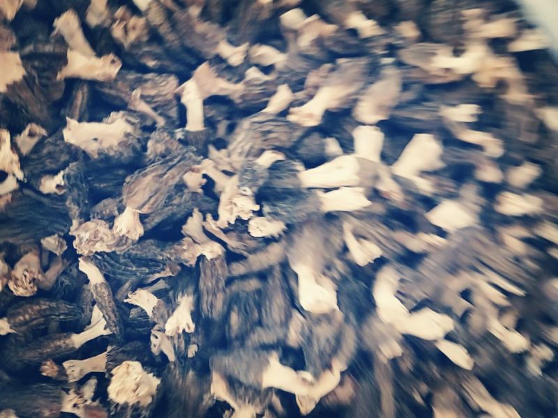羊肚菌干货