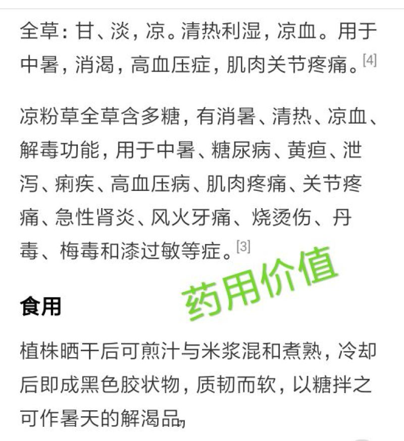 凉粉草，仙草大量供应