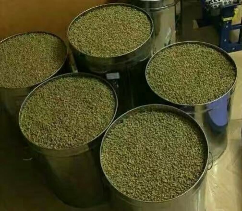 霍山石斛铁皮石斛石斛枫斗，合作社自产，可以打粉