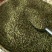 霍山石斛铁皮石斛石斛枫斗，合作社自产，可以打粉