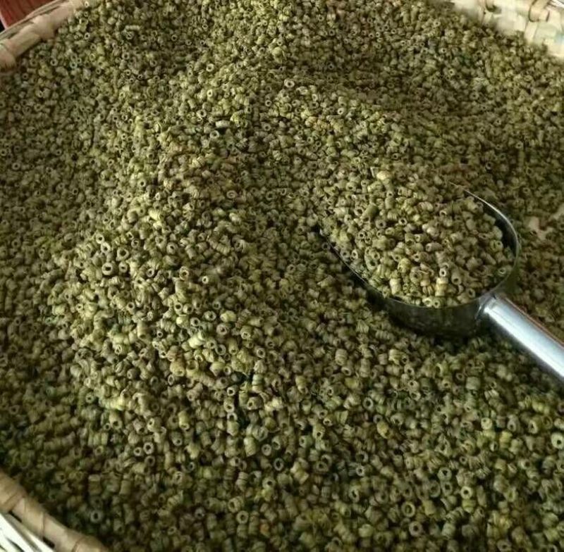 霍山石斛铁皮石斛石斛枫斗，合作社自产，可以打粉