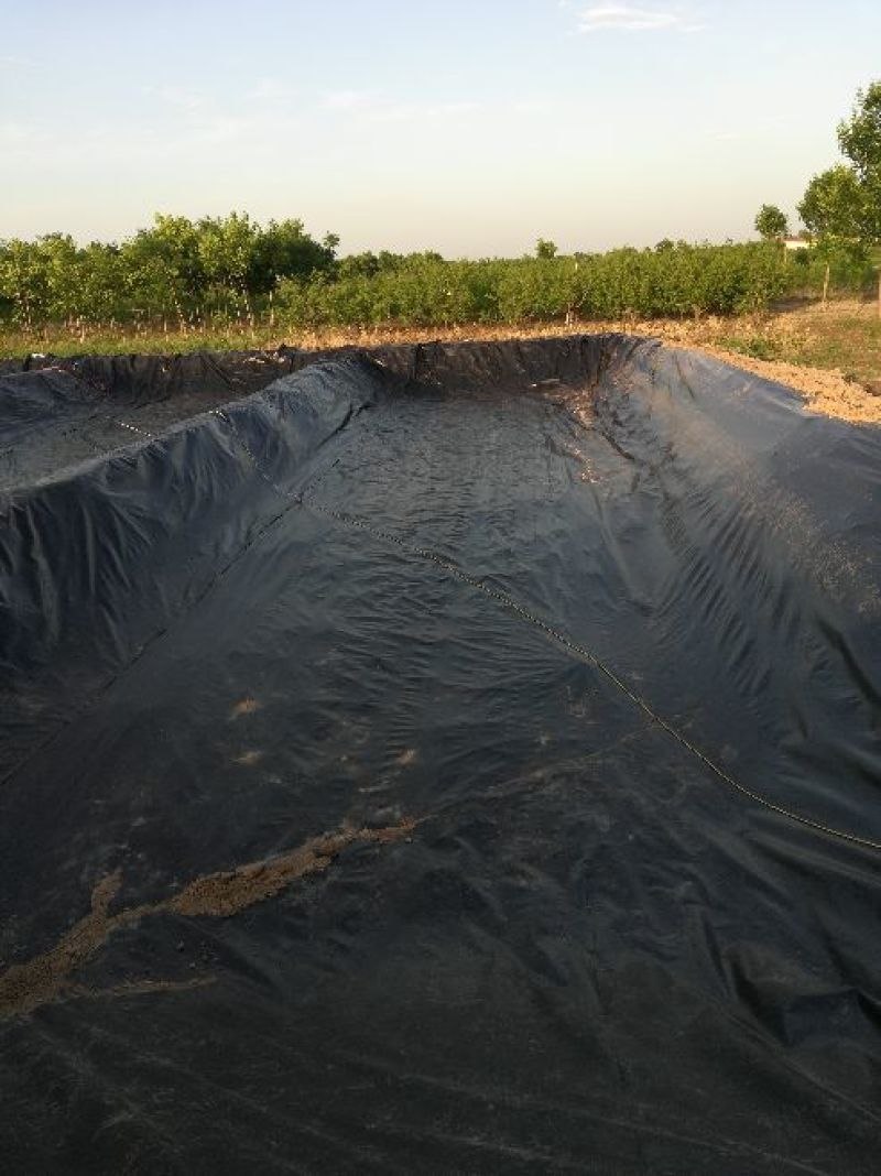 泥鳅养殖专用防渗膜厂家直销规格厚度齐全支持定制量大从优