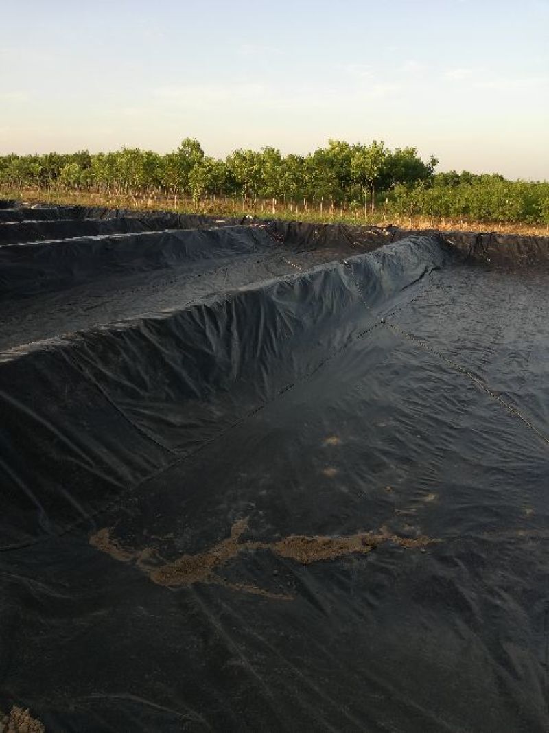 泥鳅养殖专用防渗膜厂家直销规格厚度齐全支持定制量大从优