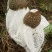 竹荪干货