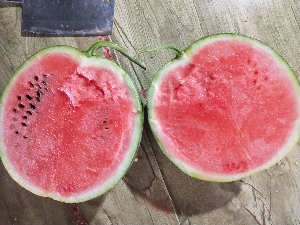 早春红玉西瓜切片摆盘图