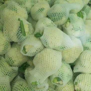 花菜
