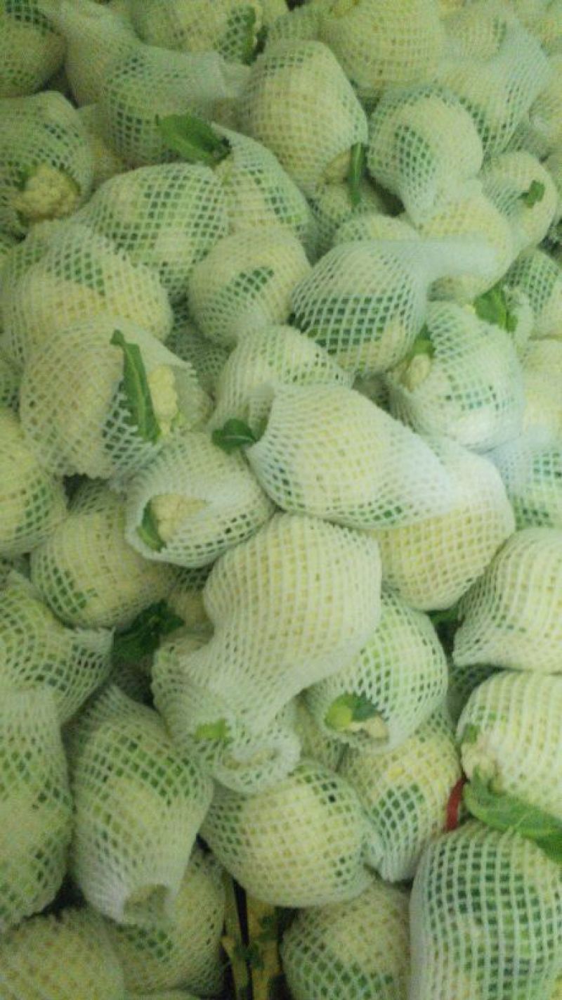 花菜