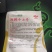 圆椒苗5万棵