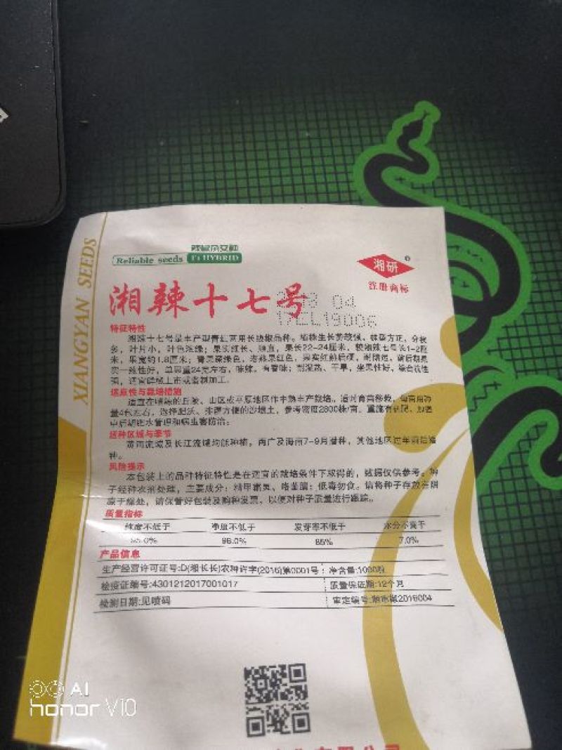 圆椒苗5万棵