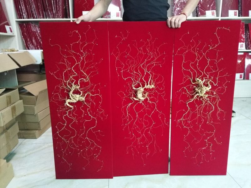 一米长林下山参干参礼盒参