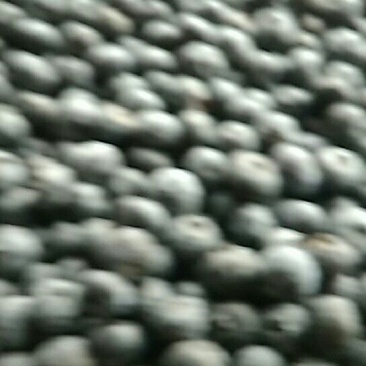 蓝莓