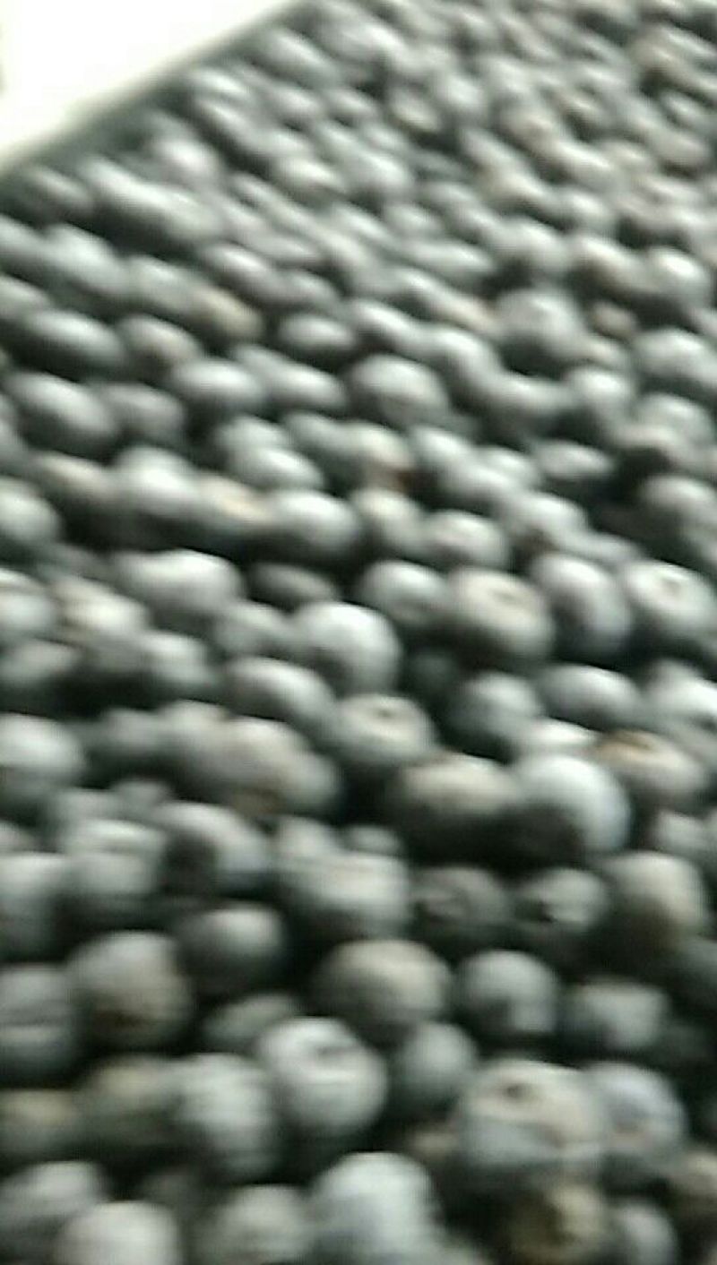 蓝莓
