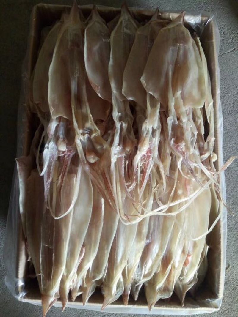 鱿鱼干墨鱼干，鱿鱼干鱿鱼母