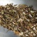 鬼针草安徽干货2斤起包邮量大从优