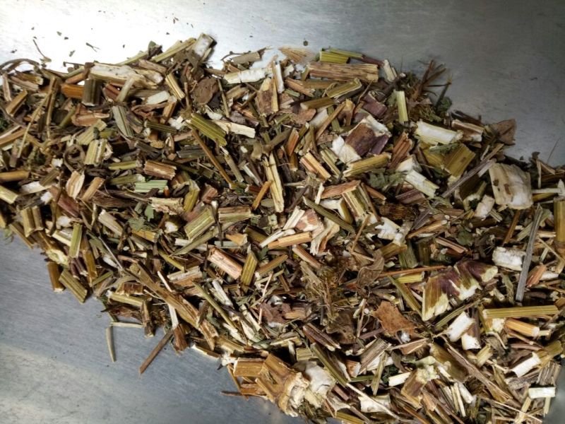 鬼针草安徽干货2斤起包邮量大从优