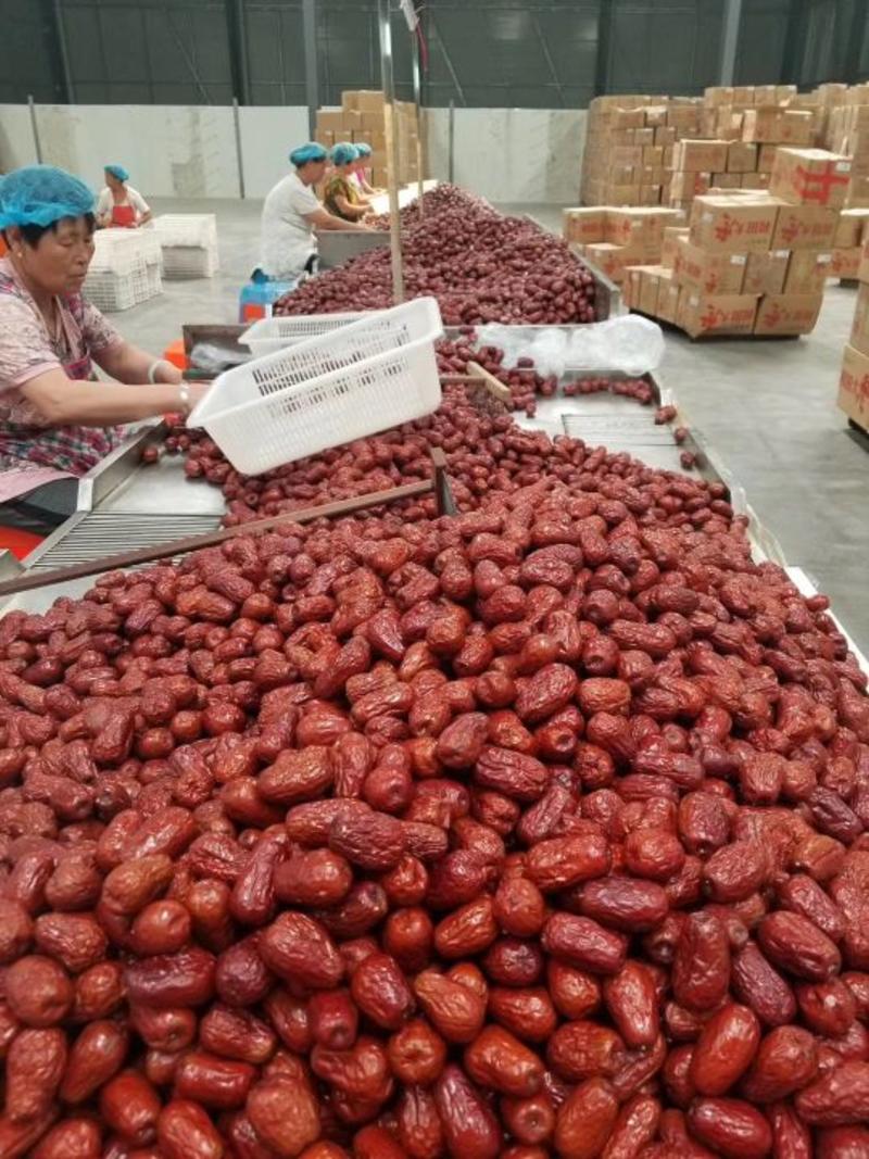 【微电商】新疆红枣加工厂自产自销价格低