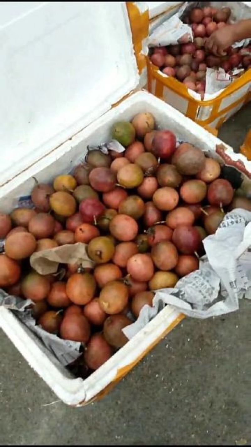 百香果
