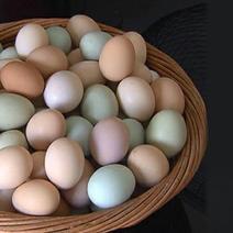 山林放养土鸡蛋12枚一斤