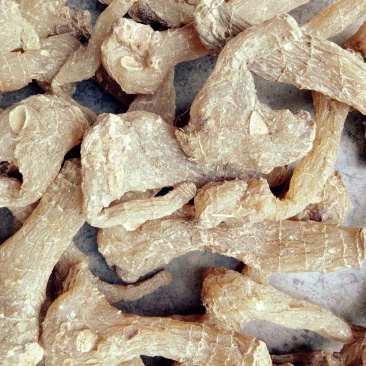 黄精甜统个
