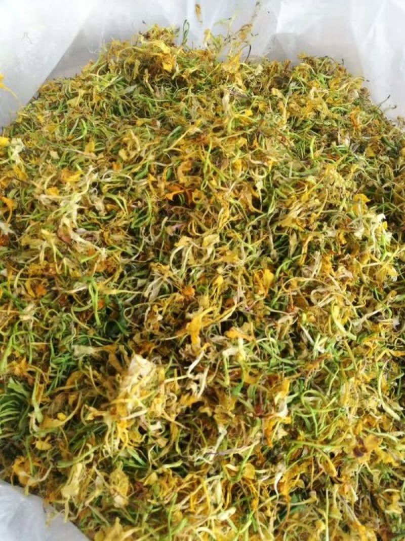 湖南金银花茶系列（花蕾）