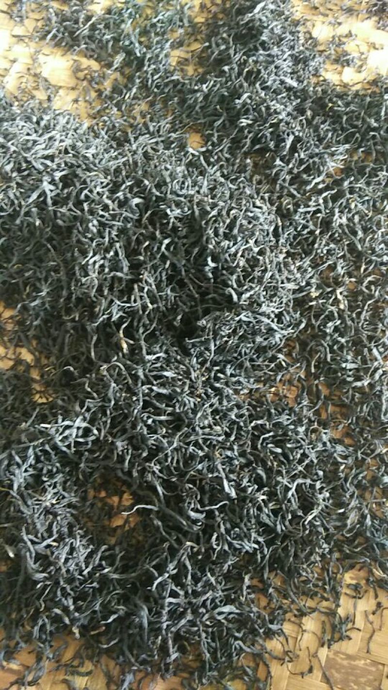 广西金秀大瑶山野生古树红茶，树年龄都是百年历史。