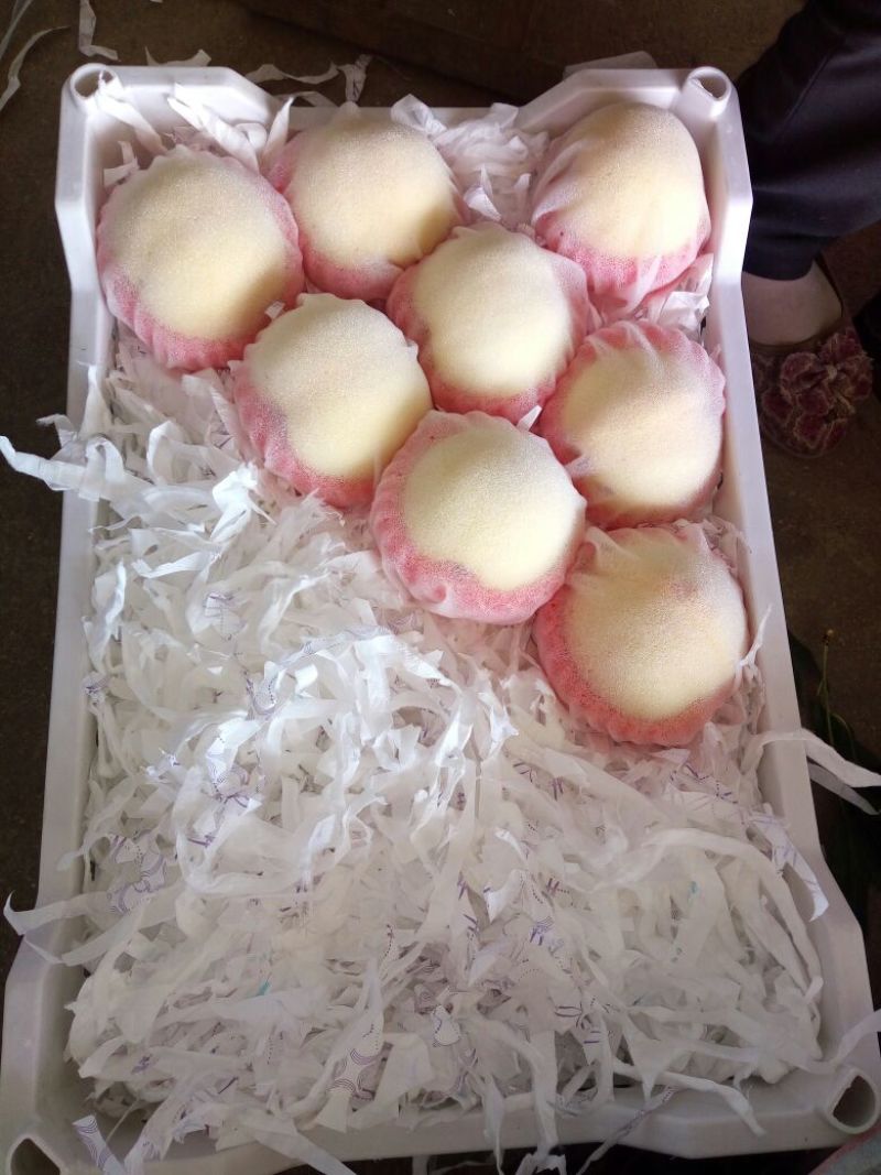 金蜜1号，锦香黄桃，黄锦绣，黄中黄，离核大黄，四两以上，