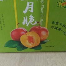 李子纸箱
