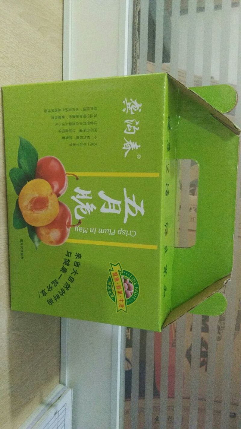 李子纸箱