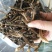 鸡枞菌干货