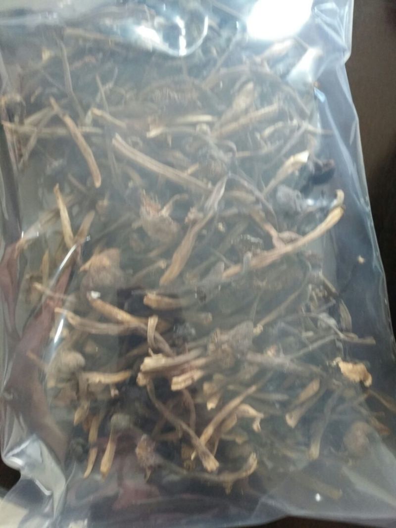 鸡枞菌干货