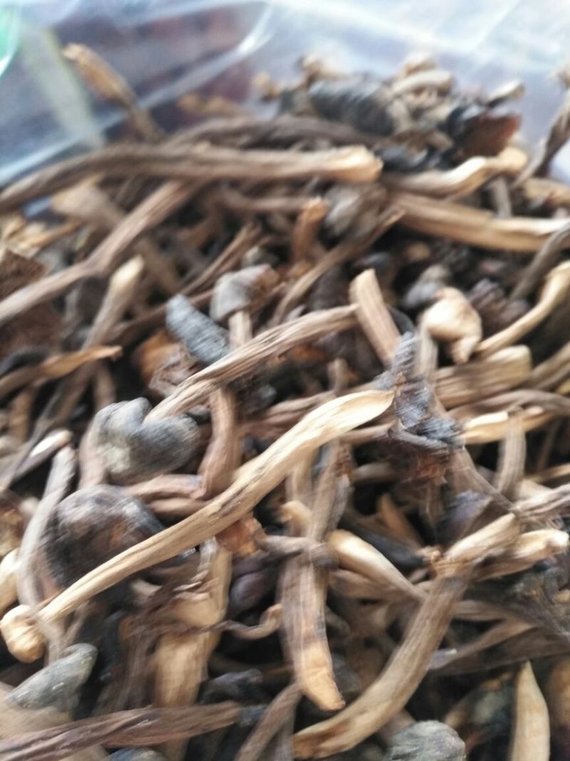 鸡枞菌干货