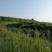 基地直供亚麻籽油（胡麻油）