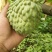 大量台凤梨释迦果