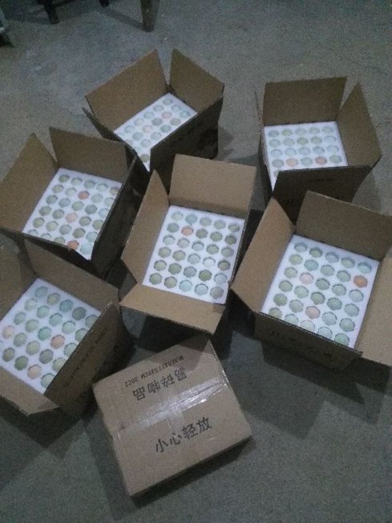 正宗的山林放养生态土鸡蛋