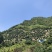 仙居荸荠杨梅