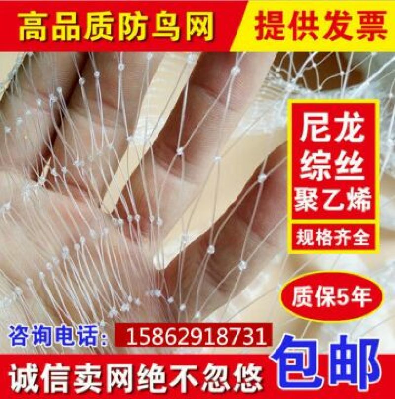 防鸟网果园果树葡萄网樱桃防鸟网蜻蜓网透