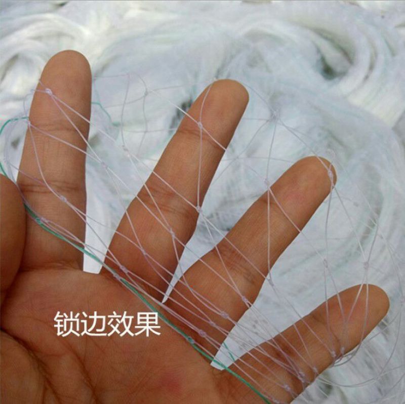 防鸟网果园果树葡萄网樱桃防鸟网蜻蜓网透