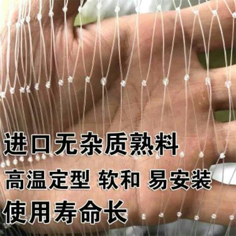 防鸟网果园果树葡萄网樱桃防鸟网蜻蜓网透