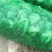 芥菜包心芥菜，通货五两以上