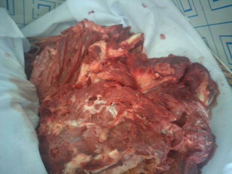 活宰现杀驴肉