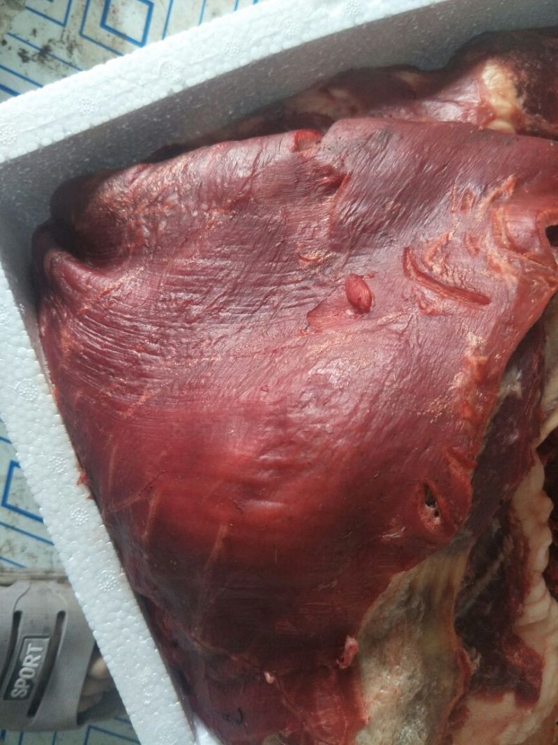 活宰现杀驴肉
