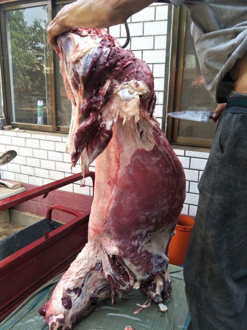 活宰现杀驴肉