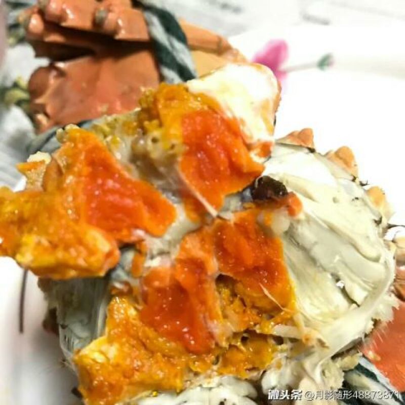 六月黄大闸蟹螃蟹