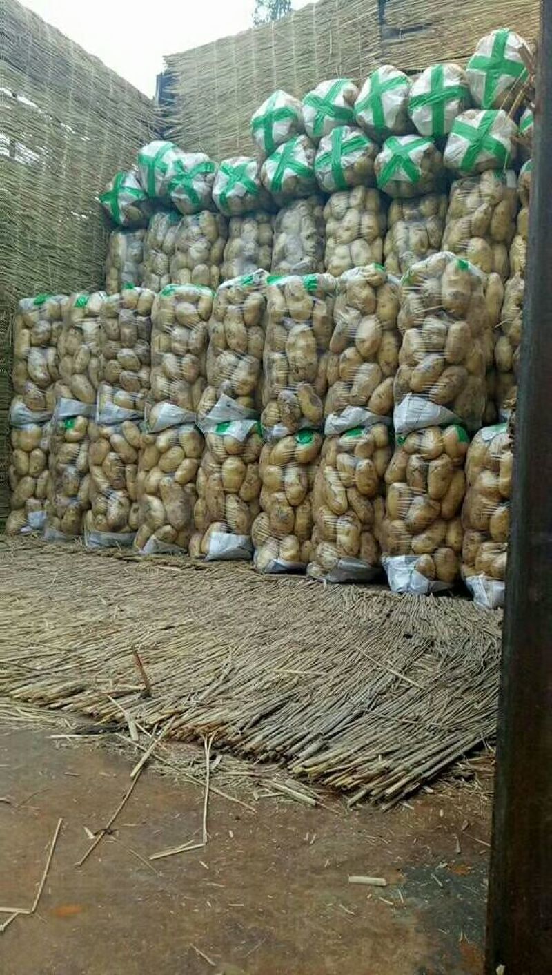土豆量大，价格便宜