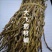 铁皮石斛干条云南1公斤起批无硫无添加不包邮